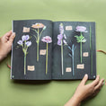 Load image into Gallery viewer, Bouquet in a Book