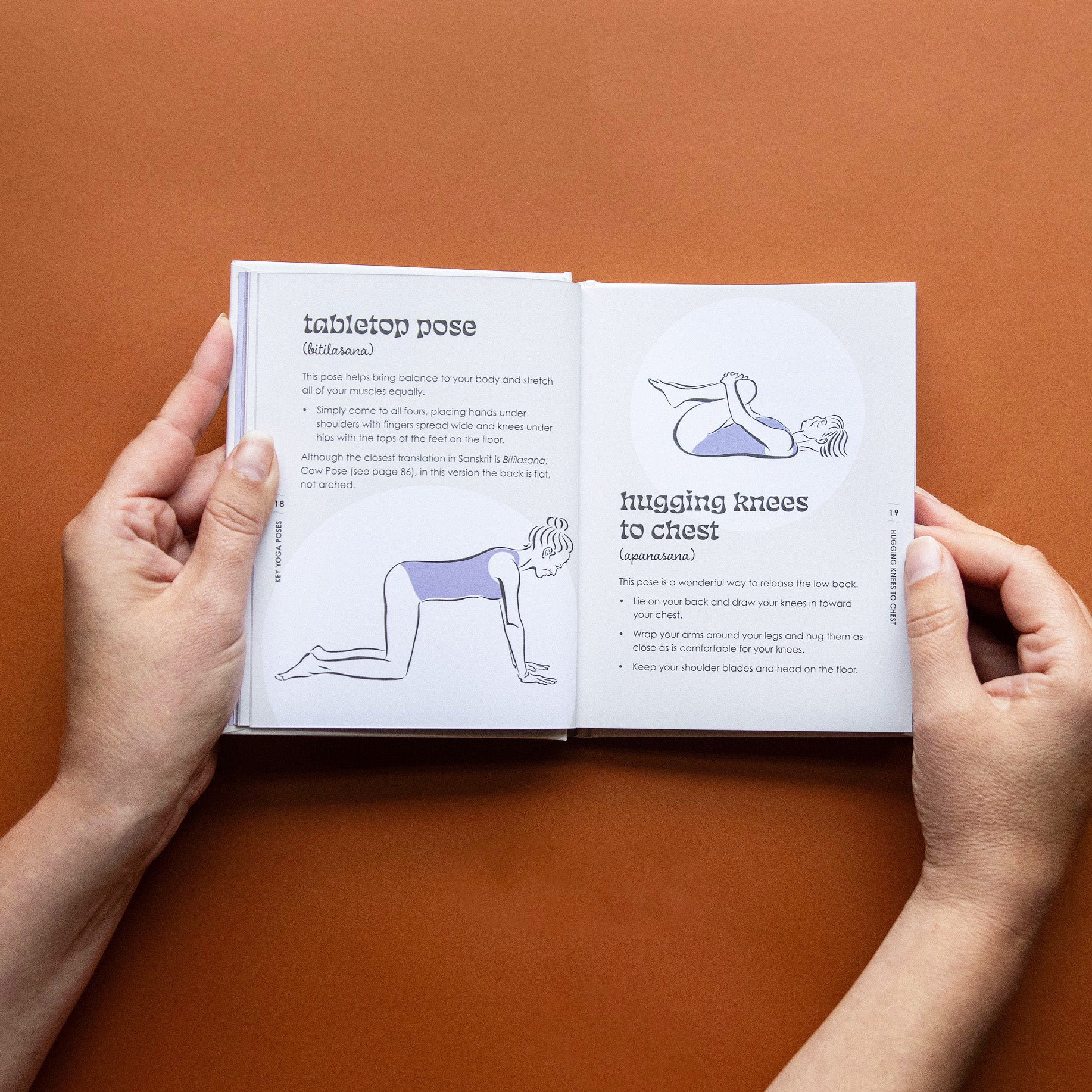 The Little Book of 'Yoga'