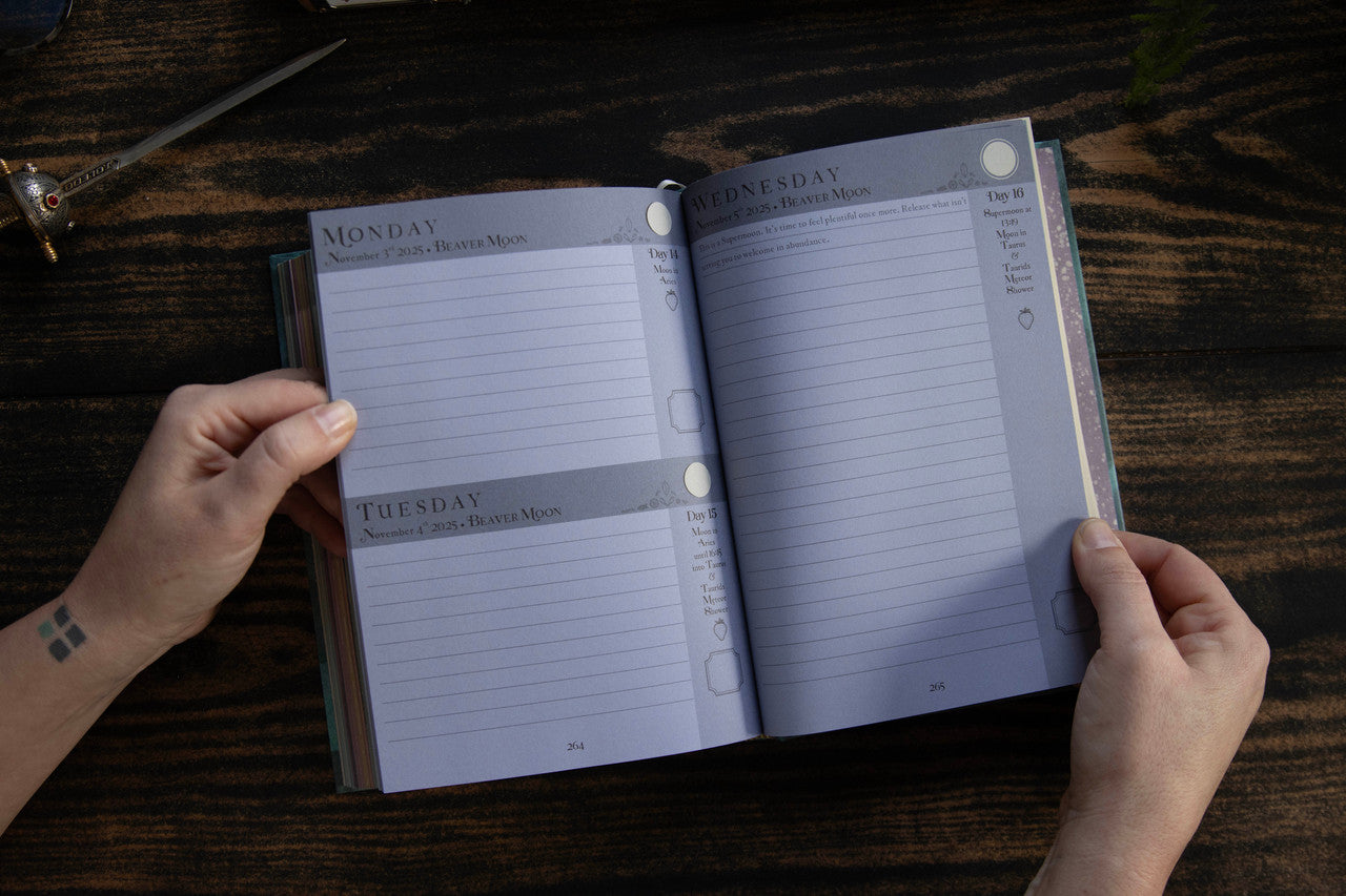 Full Moon in Taurus 2025