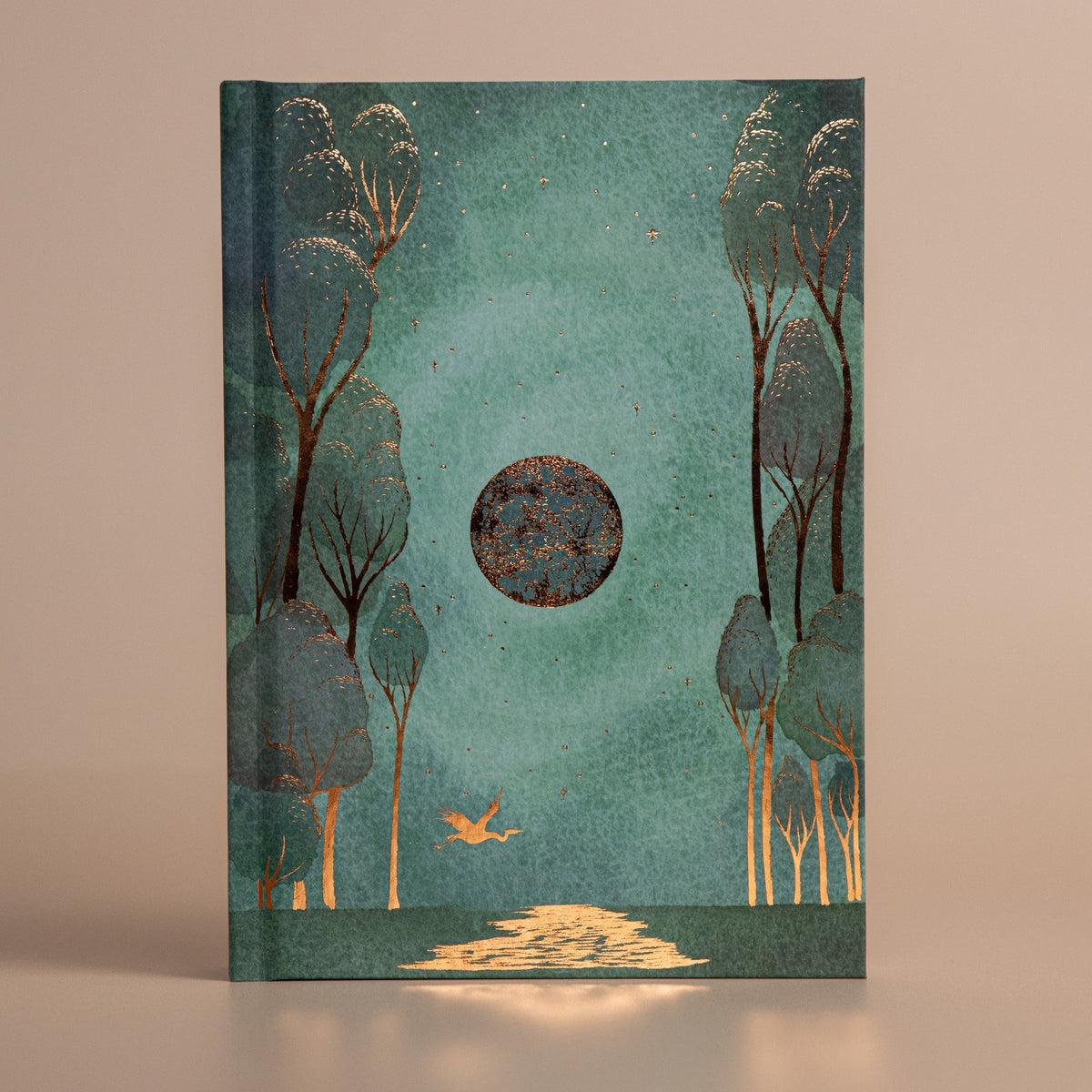 13 Moon Journal 2025 (USA) Moon Phase Studio